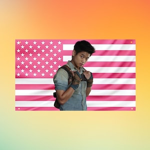 May include: A rectangular wall banner featuring a stylised American flag with pink and white stripes and a pink field with white stars. A person with dark hair is centred in front of the flag, wearing a blue button-down shirt and brown gloves.