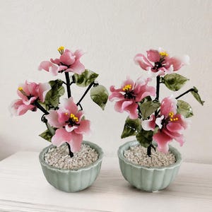 Könnte beinhalten: Zwei dekorative Topfpflanzen mit durchscheinenden rosa Blüten mit gelben Zentren und dunkelgrünen Blättern. Die Pflanzen stehen in kleinen, geriffelten, hellgrünen Keramiktöpfen, die mit weißem Kies gefüllt sind.