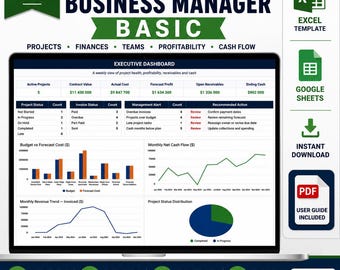 Construction Business Manager BASIC Excel Template, Project Management Spreadsheet, Budget Tracker, Google Sheets PDF