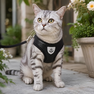 Peut inclure: Un chat tabby argenté portant un harnais en maille noire avec un écusson réfléchissant en forme de bouclier orné d'une empreinte de patte. Le harnais est attaché à une laisse noire, et le chat est assis, regardant devant avec des yeux jaunes.