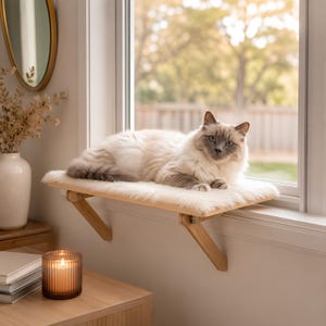 Puede incluir: Un gato de pelo largo y color claro con ojos azules descansa sobre una percha rectangular de madera para ventana. La percha tiene una superficie superior de piel sintética blanca suave y dos soportes de madera inclinados en el marco.