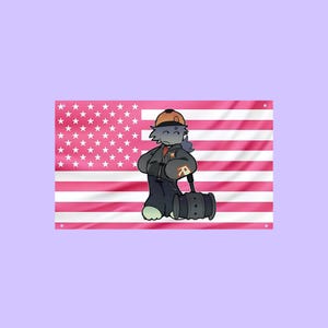 Può includere: Uno stendardo da parete rettangolare con un'illustrazione stilizzata di un personaggio antropomorfo grigio che indossa un berretto arancione e una giacca scura con un logo rosso, che tiene un barile grigio scuro su una bandiera americana rosa e bianca.