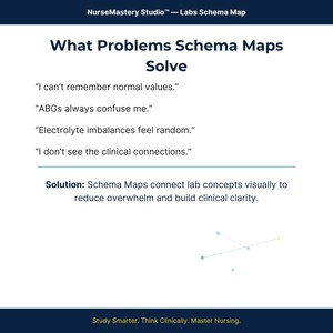 May include: A white educational infographic titled What Problems Schema Maps Solve, listing common nursing challenges like remembering normal values and ABGs, followed by a solution statement and a small abstract geometric graphic.