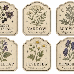 May include: Six rectangular labels with arched tops featuring botanical illustrations of Deadly Nightshade, Yarrow, Mugwort, Skullcap, Feverfew, and Monkshood. Each label includes the plant name in black text, small star icons, and a cream background.
