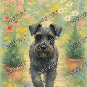 May include: A watercolor illustration of a black Schnauzer dog walking along a stone path between two terracotta pots filled with colorful flowers, including pink, yellow, and white blossoms, with the word PREVIEW repeated across the image.