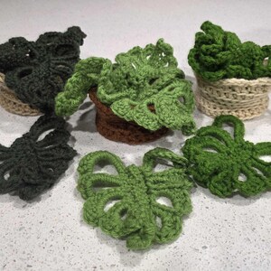 Monstera Coasters: Customizable Crochet Plant Coasters