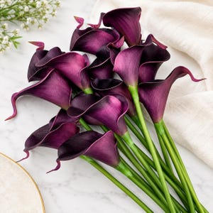 Puede incluir: Un ramo de calas de color morado intenso con flores en forma de trompeta, pétalos oscuros y aterciopelados y tallos verdes lisos y vibrantes. Las flores están dispuestas en un grupo, mostrando sus formas curvas y elegantes.