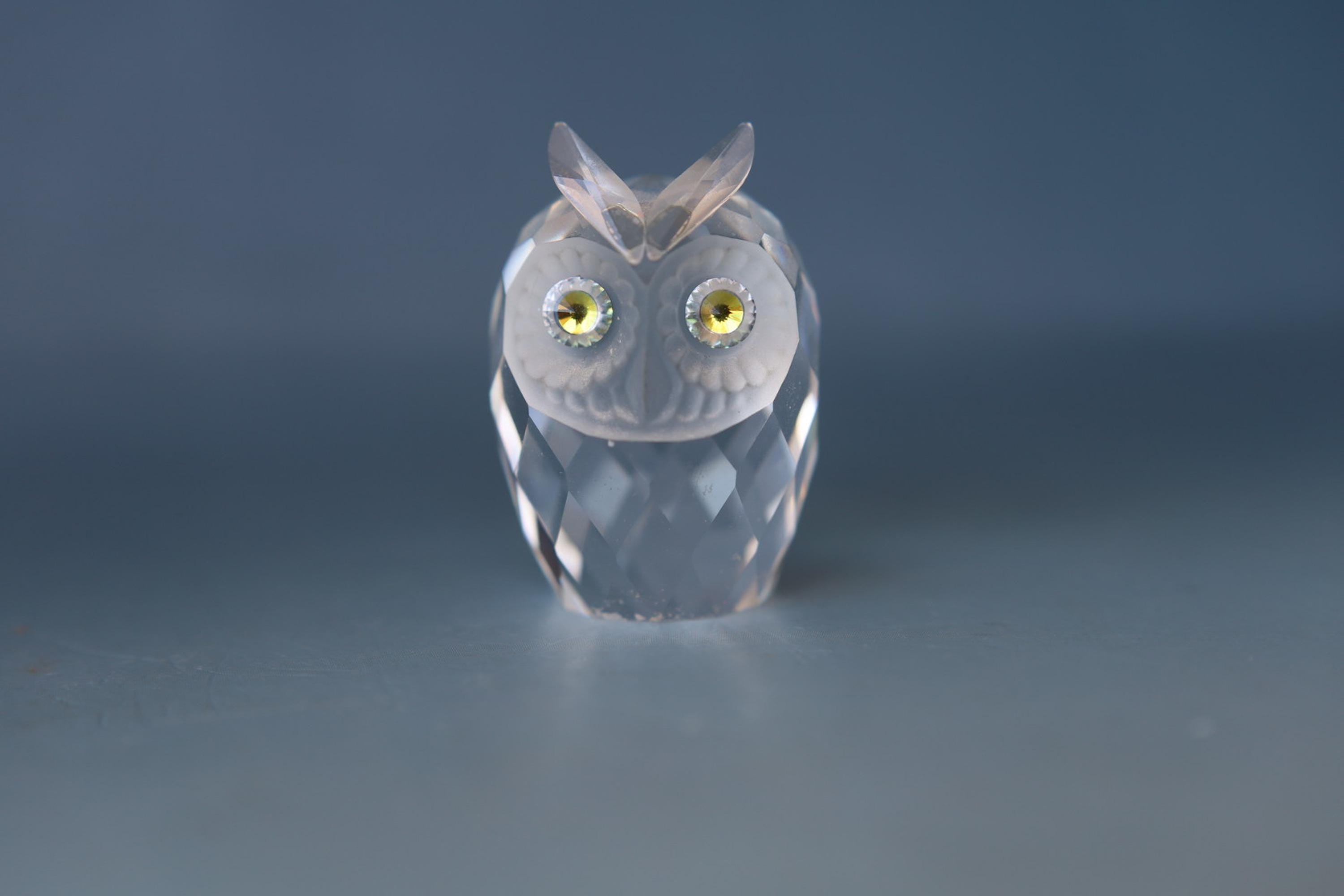 Swarovski Crystal Owl Figurine, Retired Silver Crystal Small Owl 7636 NR 046, Frosted Face, Block SC