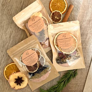 May include: Three kraft paper pouches labeled Fall, Spring, and Summer Simmer Pot, each containing dried fruit slices, herbs, and pink sea salt. The pouches are surrounded by loose dried orange slices, a cinnamon stick, and fresh rosemary sprigs.