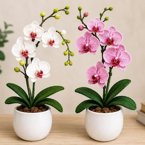 May include: Two potted crochet orchid plants, one with white flowers and one with pink flowers. Each plant features dark green crocheted leaves, brown soil-like base, and green stems with buds, all housed in simple white ceramic pots.