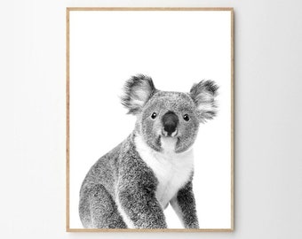 Koala Print, Nursery Print, Australian Koala Wall Art, Koala Poster, Koala, Animal Print, Kids Room Decor, INSTANT DOWNLOAD