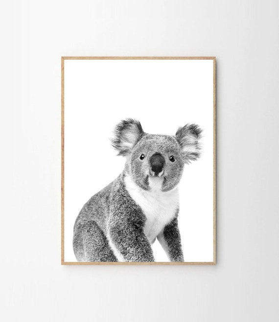 Koala Print, Nursery Print, Australian Koala Wall Art, Koala Poster, Koala, Animal Print, Kids Room Decor, INSTANT DOWNLOAD Il_570xn
