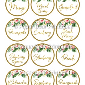 Tropical Mom-osa Bar, Tropical Juice Labels, Mom-osa Bar, Tropical Momosa, Momosa, Tropical Baby Shower, INSTANT DOWNLOAD, Templett, PBB98 image 2