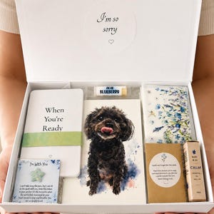 May include: A white gift box containing a card with the text I'm so sorry, a notebook labeled When You're Ready, a card with a watercolor dog illustration, a floral patterned item, a small star-shaped token, lip balm, and a bottle of calm oil.