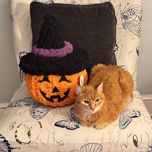 May include: A crocheted orange pumpkin plush with a black witch hat featuring a purple band and black felt facial features, positioned next to a ginger cat. The pumpkin has a textured yarn surface and a small white tag attached to its side.