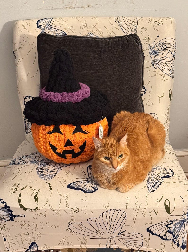 May include: A crocheted orange pumpkin plush with a black witch hat featuring a purple band and black felt facial features, positioned next to a ginger cat. The pumpkin has a textured yarn surface and a small white tag attached to its side.