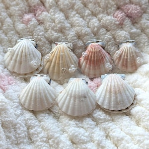 May include: Seven hinged seashell containers arranged in a group. Each shell features a ribbed texture and natural colour variations ranging from white to tan and pink. Several shells are accented with small, white, round faux pearl beads.