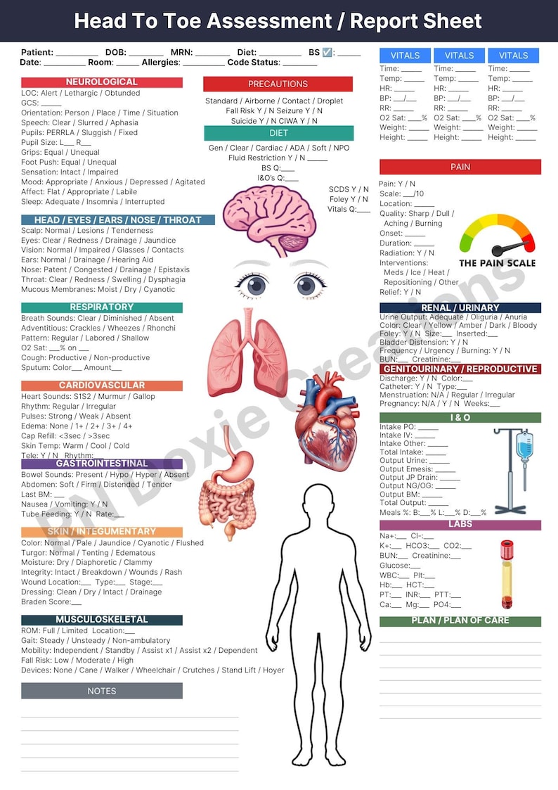 Head to Toe RN Assessment & Report Sheet | Nurse Brain Sheet | Med Surg ...