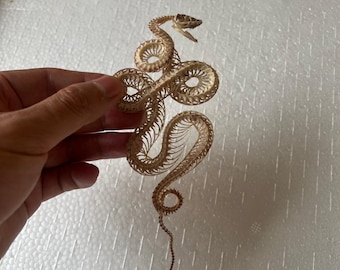Unique curved snake skeleton, Real animal bone specimen, Taxidermy
