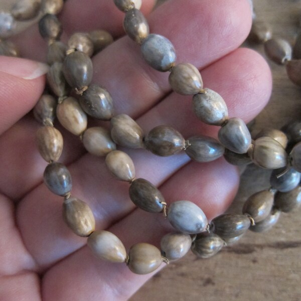 9-10mm, Natural Jobs Tears, Imported from the Philippines, Stranded Beads - Available on Full (35"/36") Full Strands