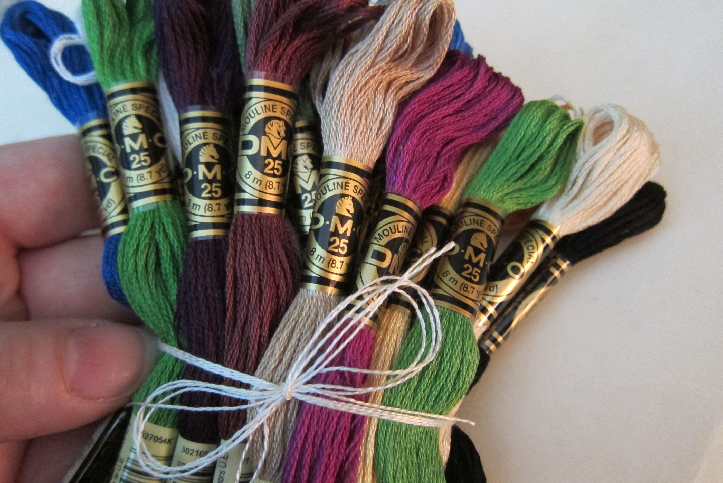 DMC 4000 Variegated Embroidery Floss Espresso 