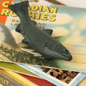 May include: A dark green, textured fish-shaped object resting on top of vintage postcards. The postcards feature the text CANADIAN ROCKIES and CALIFORNIA STATE SERIES, with imagery of mountains and landscapes in shades of blue, orange, and yellow.