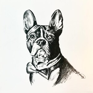 Puede incluir: Dibujo a lápiz en blanco y negro de un Bulldog Francés con pajarita. El perro mira directamente al espectador.