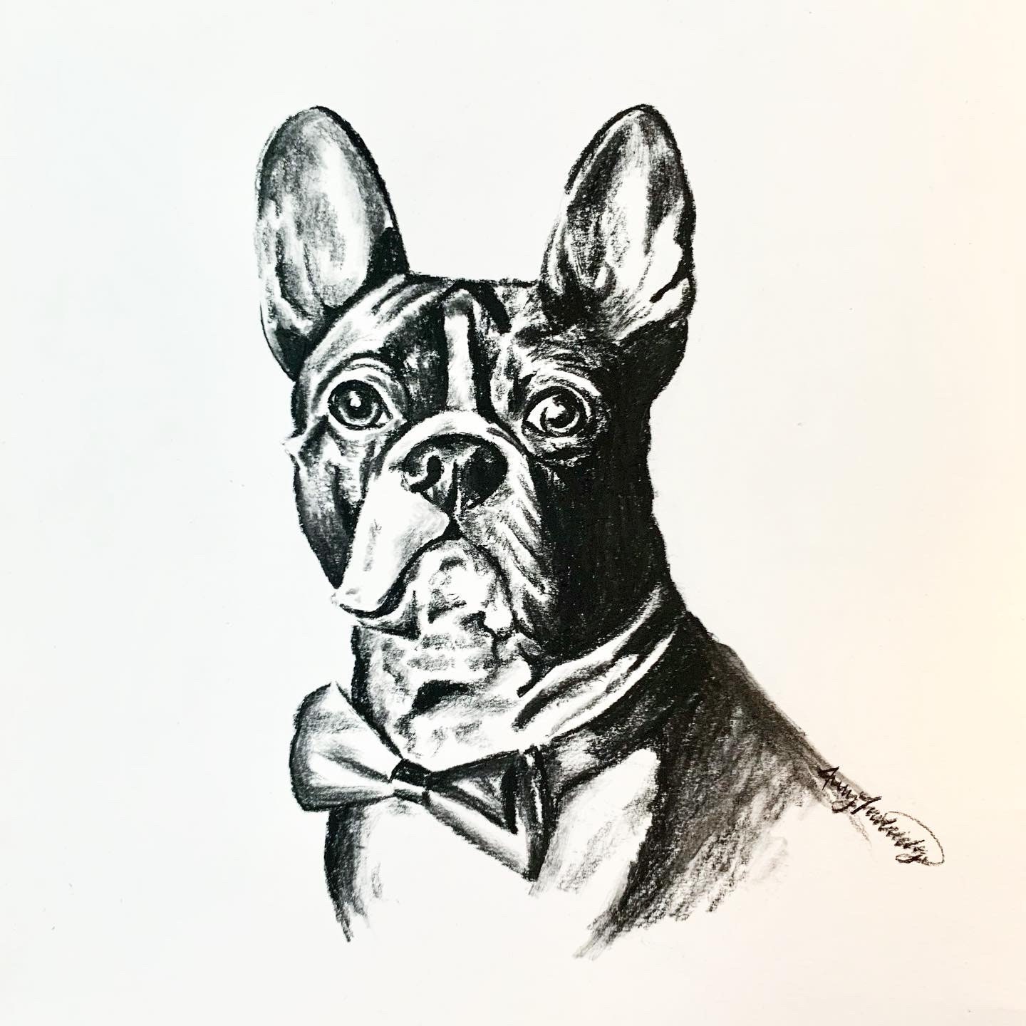 CUSTOM 11x14 Charcoal Pet Portrait - Etsy UK