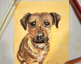 Portraits d'animaux de compagnie à l'aquarelle - Adorables peintures d'animaux aux yeux brillants et scintillants