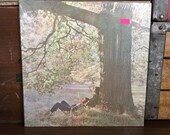 John Lennon Plastic Ono Band Vinyl LP 1970 Apple Records In Shrink Classic Rock Psych Yoko Ringo Starr Beatles Original US Press