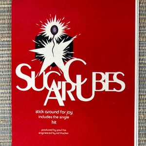 Bjork Magazine - Etsy