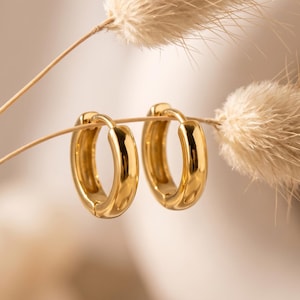 Peut inclure: Une paire de petites créoles dorées polies avec une surface lisse et arrondie. Les boucles d'oreilles sont de forme circulaire et disposent d'un mécanisme de fermeture à charnière, présentées avec deux tiges botaniques séchées, beiges et plumeuses.