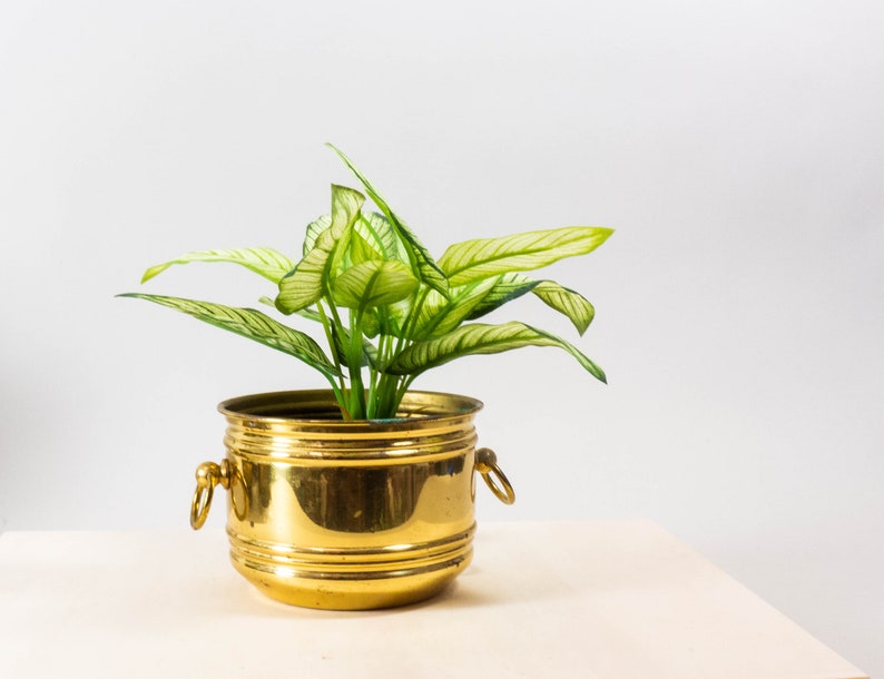 Vintage brass planter brass flower pot