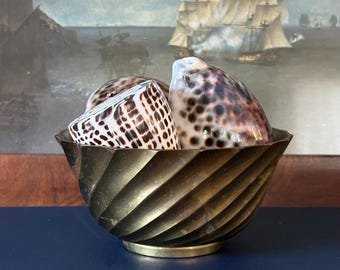 May include: A brass bowl with a spiraled, fluted exterior design containing two large, smooth sea shells. One shell features a dark brown spotted pattern, while the other displays a grid-like arrangement of dark brown rectangular markings.