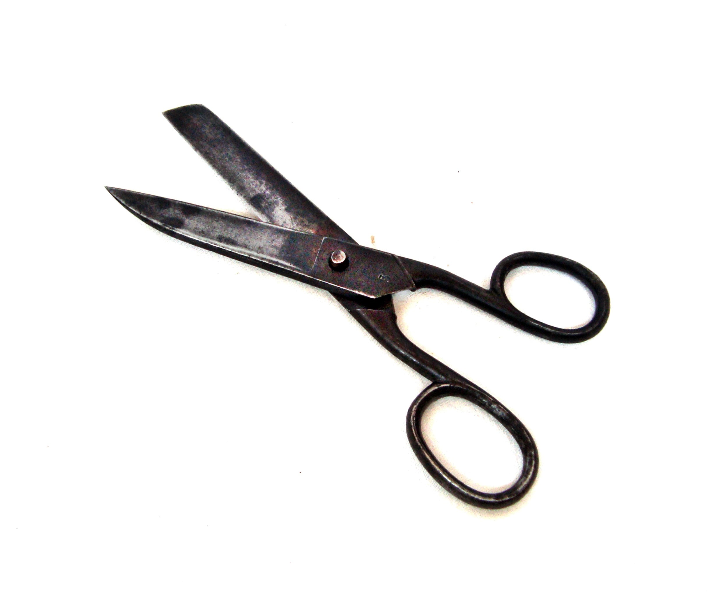 First Ever Purchase of Fancy Scissors