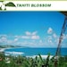 Eigenaar van <a href='https://www.etsy.com/nl/shop/TAHITIBLOSSOM?ref=l2-about-shopname&from_page=listing' class='wt-text-link'>TAHITIBLOSSOM</a>
