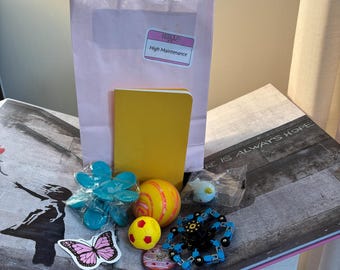 Sacs cadeaux : essoreuse araignée, essoreuse à donuts, squishy, mochi, autocollants, pince à griffes, essoreuse de football, carnet de notes, mini stylo multi-usages