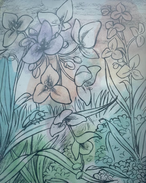 Lillies