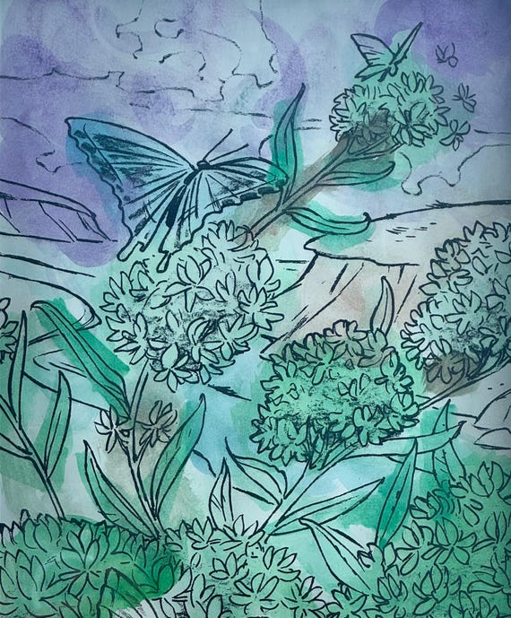 Butterflies and Canyons