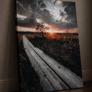 Wooden Boardwalk Swamp Wall Art: Marsh Landscape Photography, Golden Sunset Sunburst Print Art