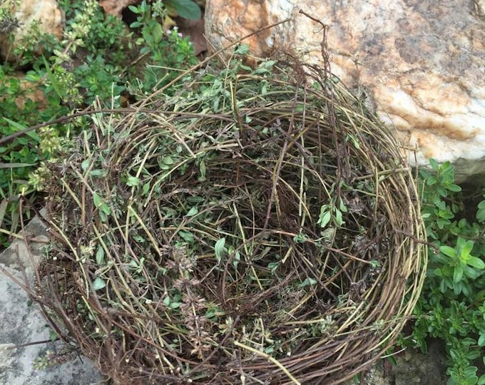 Natural Large Bird Nest / Home Garden Decor / Cottage Garden Etsy