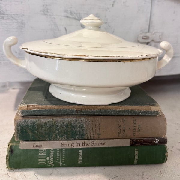 Vintage Soup Tureen WITH Lid / Antique Tureen Trimmed In Gold / Vintage Farmhouse Style