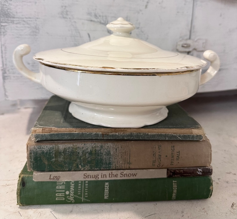 Vintage Soup Tureen WITH Lid / Antique Tureen Trimmed in Gold Etsy