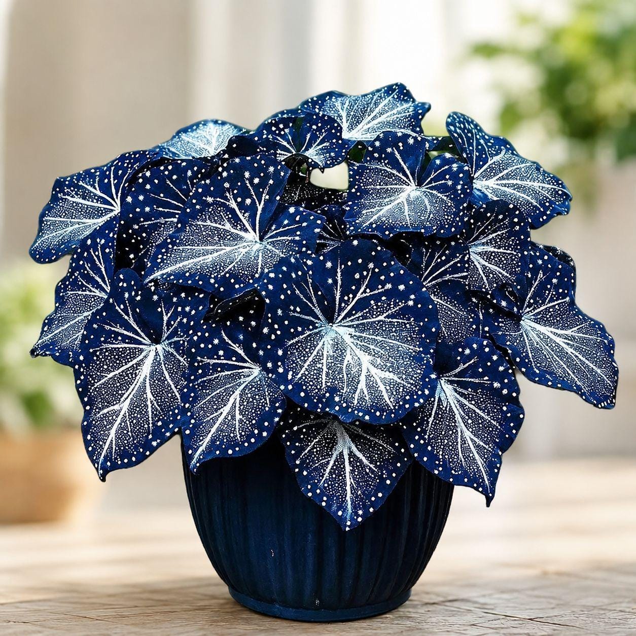 Blue begonia - Etsy 日本