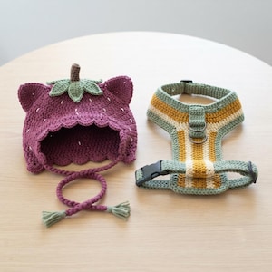 May include: A purple crocheted hat shaped like a strawberry with green leaves and cat ears, featuring long braided ties with tassels, alongside a matching crocheted pet harness with yellow, white, and green stripes and a black plastic buckle.