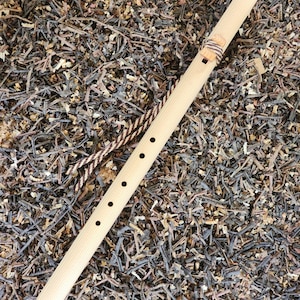 May include: A light-colored wooden flute featuring five circular finger holes along its length. The instrument includes a small wooden block secured with a brown and white striped cord that wraps around the body of the flute.