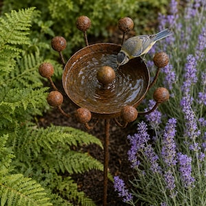 May include: A rust-coloured metal bird bath featuring a circular basin with a central sphere and a decorative outer ring of smaller spheres on curved stems. A small bird with grey, yellow, and white feathers drinks from the water-filled basin.