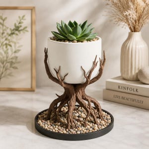 May include: A white cylindrical planter holding a green succulent, supported by a brown base shaped like tree roots. The planter sits on a circular black tray filled with small, multi-colored pebbles, creating a naturalistic display piece.