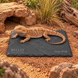 May include: A rectangular black slate plaque featuring the engraved name MILO on the left and the text Stay Wild on the right. A tan and orange bearded dragon lizard is resting on top of the textured stone surface, which has rough edges.