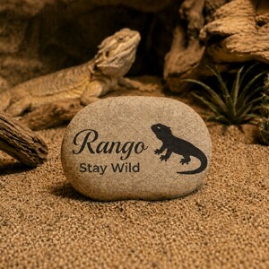 Personalized Bearded Dragon Tank Decor, Laser Engraved Reptile Terrarium Stone, Leopard Gecko Ball Python Habitat Gift